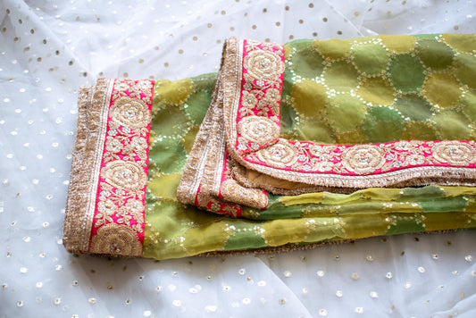Jhanvi Dupatta