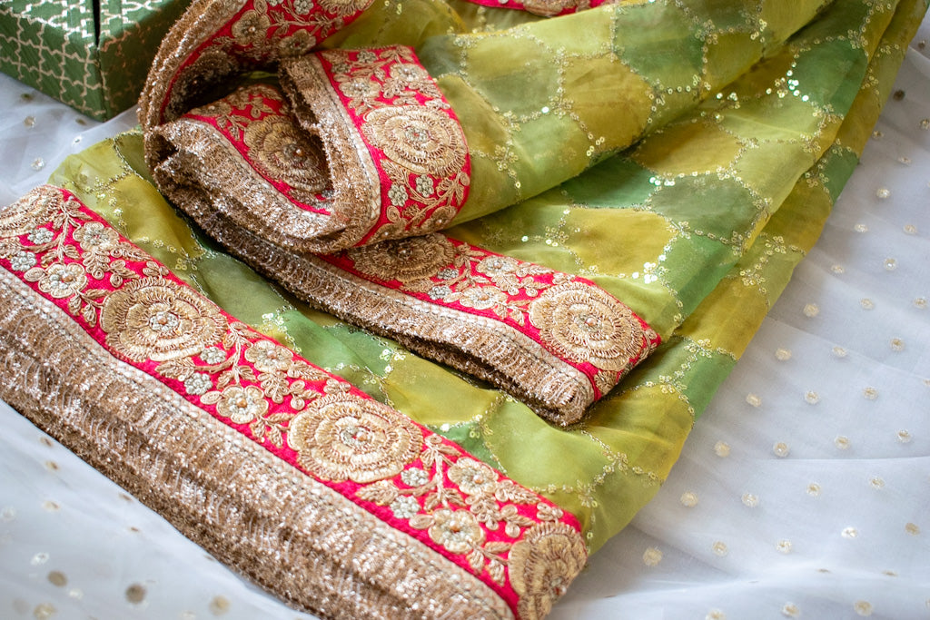 Jhanvi Dupatta