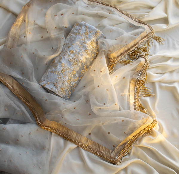 Amelia Organza Saree (Powder Blue)