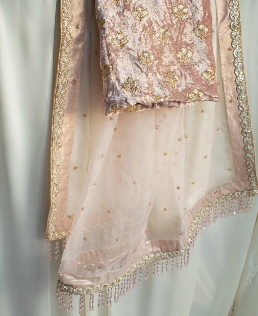 nude pink pure organza saree with hand embroidery motifs and light gold and rose gold border and finished off with beautiful nude pink tassels. Comes with a velvet embroidered blouse piece.
