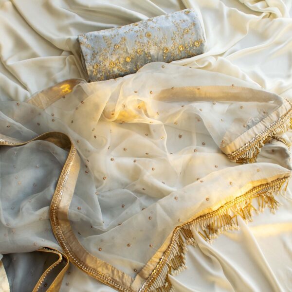 Amelia Organza Saree (Powder Blue) - Image 6